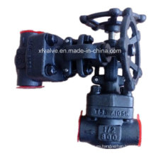 ANSI Standard Forged Carbon Steel A105 Rosca final Globe Valve